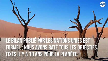 Nous avons manqué la totalité des 20 objectifs fixés il y a dix ans pour sauver la planète