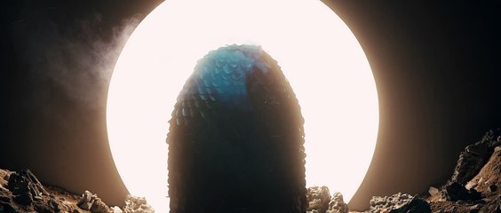 Jack | Hoa Hải Đường | Official Teaser