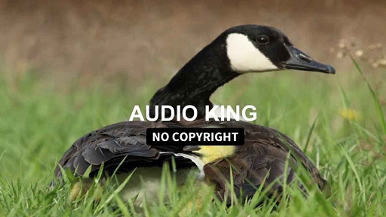 Sarah Jansen - Miss You |Audio King|