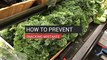 How to Prevent Snacking Mistakes