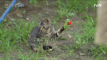 돌아온 윰태공! 오늘은 우유남매가 함께하는 냥린이 낚시☆