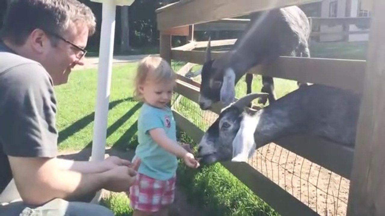 Funniest_Baby_On_A_Farm || Funny video