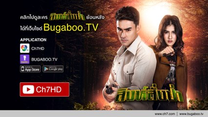สิงห์สั่งป่า ย้อนหลัง | Ch7HD