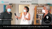 Point Actu : À la découverte de la conserverie des pins de Lège Cap-Ferret