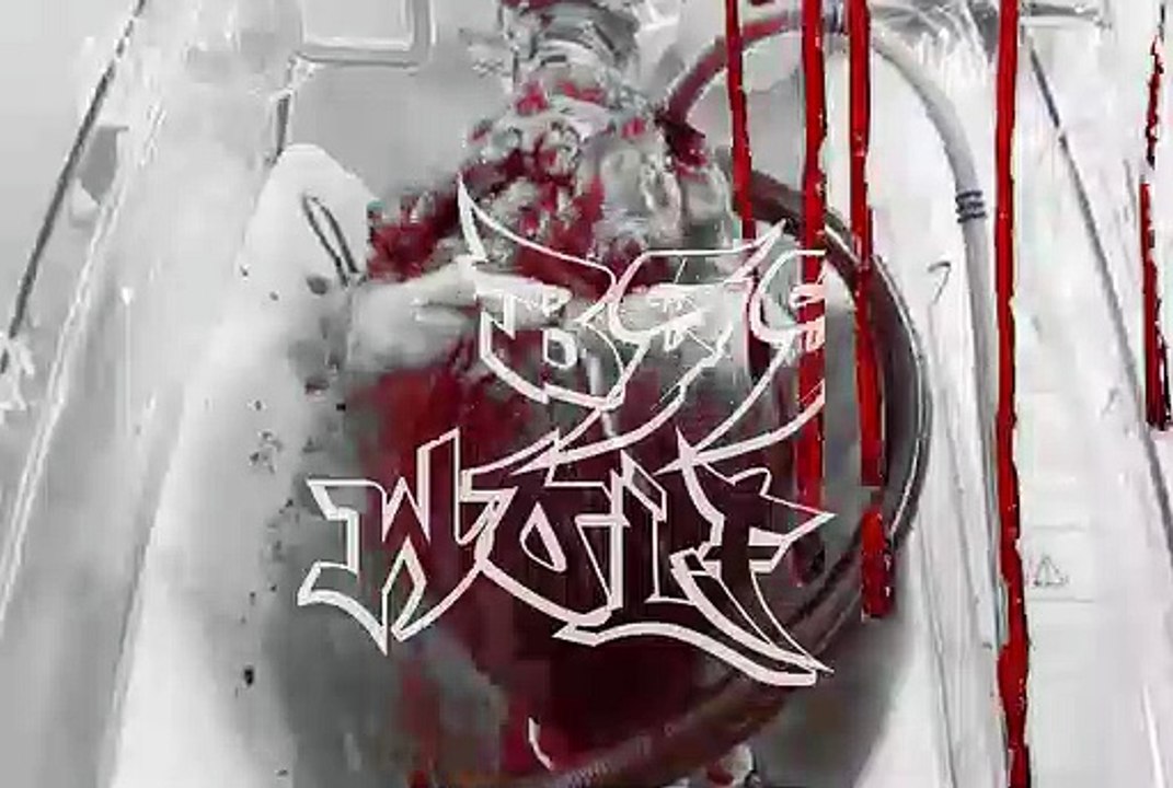 MVGEN: BSS Wolf : Wire