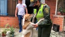 Apareció \'Lagañas\', el perro de la Policía que se perdió en el MIO