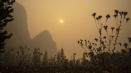 Yosemite National Park Closes Due to Smoke Conditions From Ongoing Wildfires
