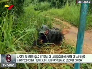 Unidad "General del Pueblo Soberano Ezequiel Zamora" afianza capacidades agroproductivas