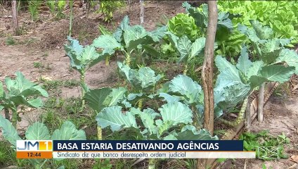Sindicato diz que Basa está desativando agências no Maranhão.