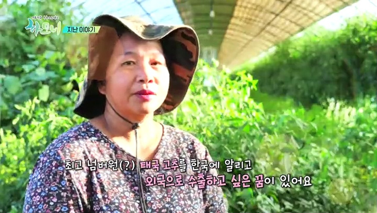 [하모니] 태국의 채소를 알리다! 억척 농부 유정 씨 - 2부