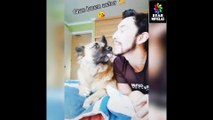 Videos divertidos de mascotas en tik tok