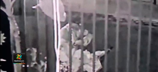 tn7-Mujer-denunció-a-sujeto-que-la-acosa-dejándole-ropa-interior-afuera-de-su-casa-180920