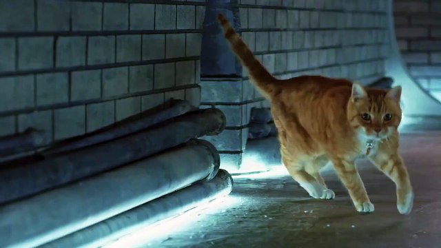 Como Perros y Gatos Película – La Patrulla Unida