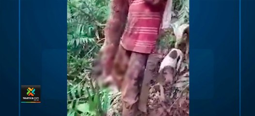 tn7-SINAC-denunció-ante-Fiscalía-a-sujetos-que-se-grabaron-mientras-cazaban-animales-180920