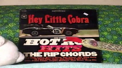 Wild Record Collection #29