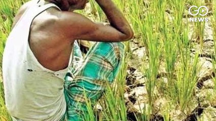 कृषि अध्यादेश के ख़िलाफ़ प्रदर्शन कर रहे एक किसान की पंजाब में मौत