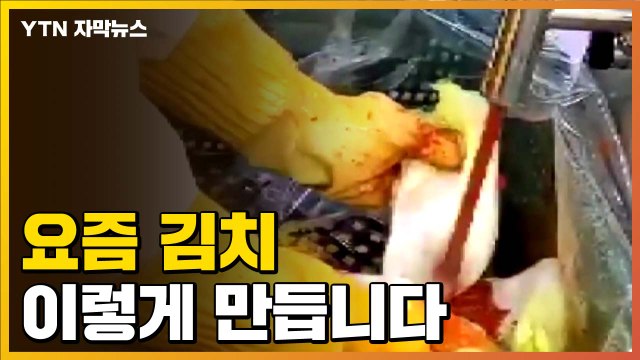 [자막뉴스] 양념 치대기 척척! 요즘 김치 이렇게 만듭니다 / YTN