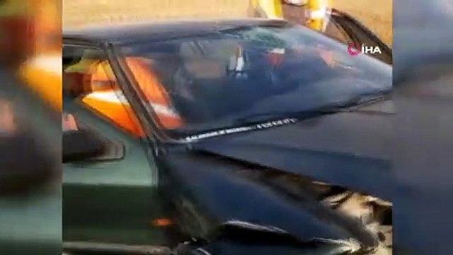 Köpeğin hayatı için kendi canını hiçe saydı