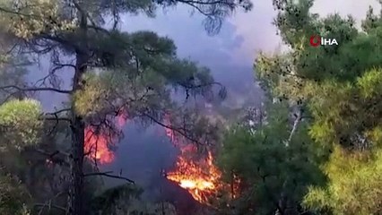 Tatil merkezi Adrasan'da 60 hektarlık ormanlık alan zarar gördü