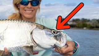 Hooked in the EYEBALL! Florida Inshore Fishing Tarpon, Snook, & Jacks