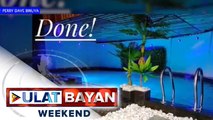 Isang lumang bahay, agaw-atensyon matapos gawing indoor swimming pool sa Cavite