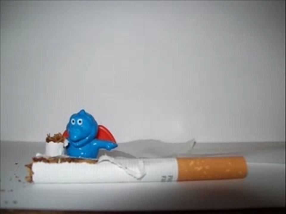 Dino et son bedo