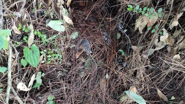 Security forces arrested 3 Lashkar terrorists in Rajouri