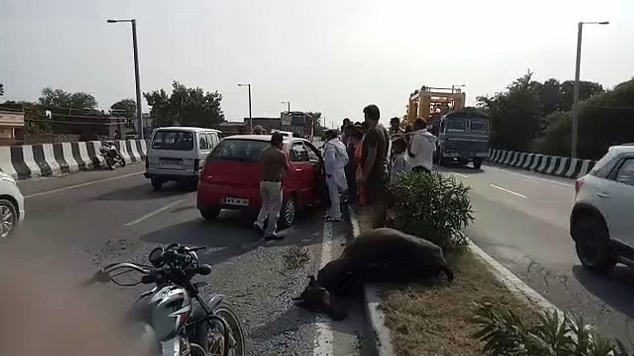 झांसी: अज्ञात वाहन की टक्कर से कार सवार एक वृद्...