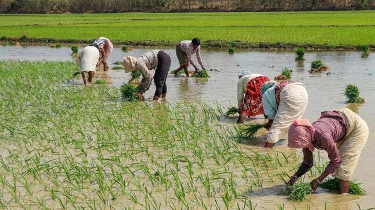 RSS affiliate farmers union seeks scrutiny of farm bill