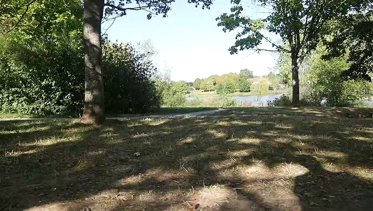 Lake & Shadow - Nature/Human (Creative Common Video 140)