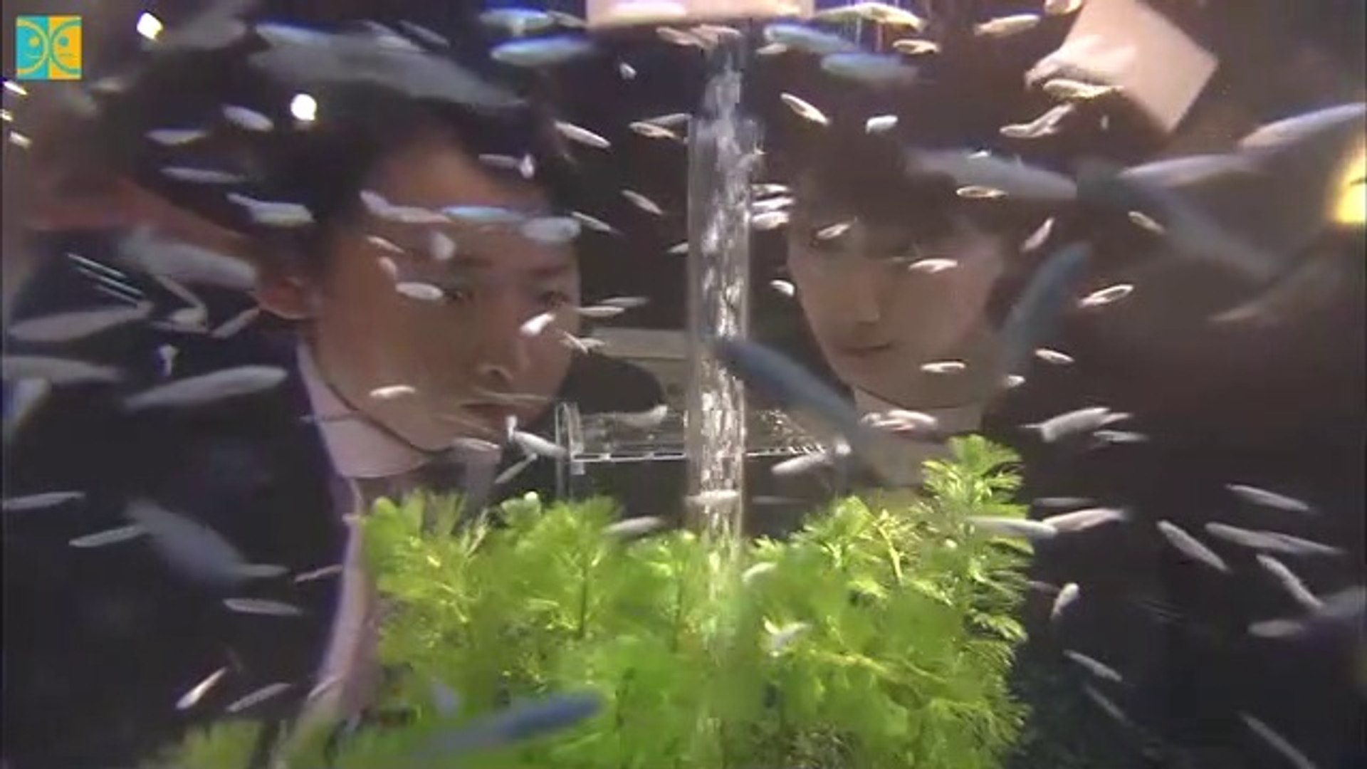 Sekai Ichi Muzukashii Koi 世界一難しい恋 The Most Difficult Love In The World E5 English Subtitles Video Dailymotion