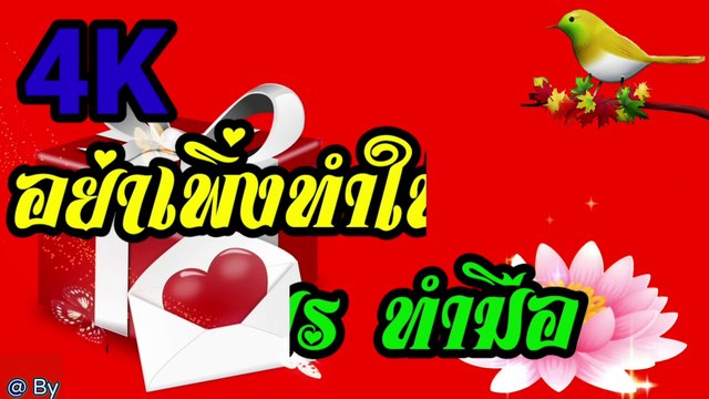 อย่าเพิ่งทำให้เสียใจ - เสถียร【4K】60fps.2160P ( 2160 X 3840 60fps )