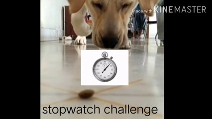 DRY FOOD CHALLENGE| NOODLES CHALLANGE | EPIC REACTION