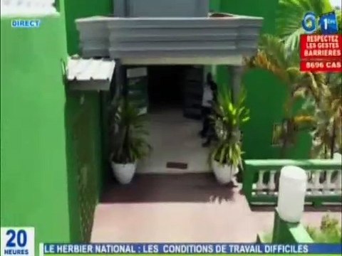 RTG/Les difficultés liées à la rénovation de l’herbier national