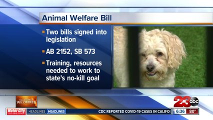 Newsom signs legislation requiring animals be microchipped prior to adoption