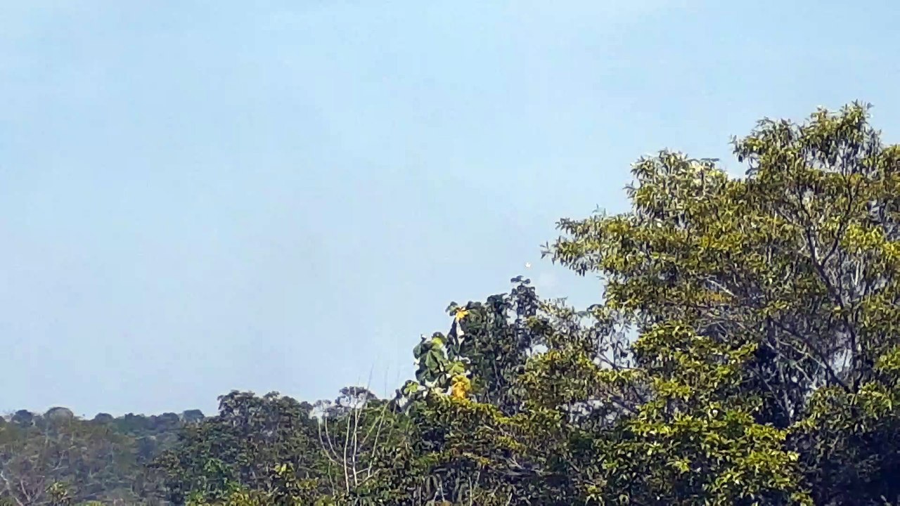 Airbus A321 PT-MXD na final antes de pousar em Manaus vindo de Guarulhos(19/09/2020)