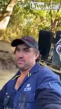 Juste un jour normal dans un marais en Australie