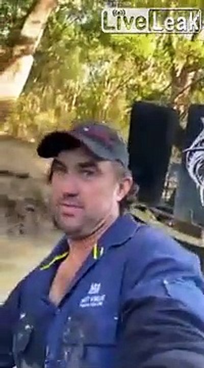 Juste un jour normal dans un marais en Australie