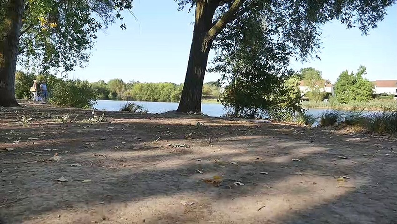 Lake - Nature (Creative Common Video 143)