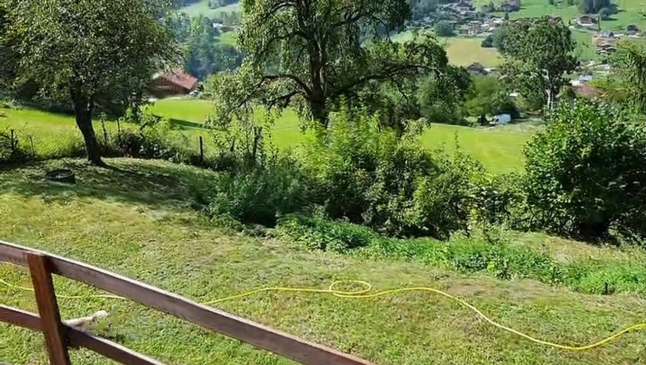 Phandor dans le jardin au chalet