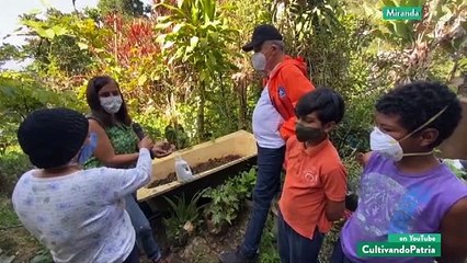 Cultivando Patria 19SEP2020 | Proyecto Plan Café: Incorporación de múltiples cultivos