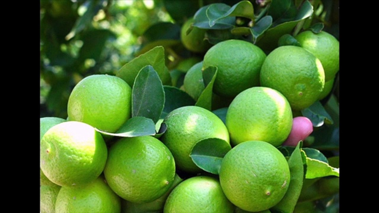 ¿TE GUSTA EL AGUA DE LIMÓN? DESCUBRE LOS BENEFICIOS DE ESTA BEBIDA