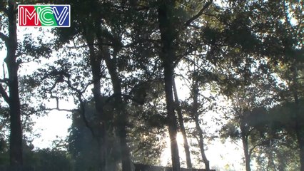 Qua miền cổ tích - Lovebus 342 - 16/06/2015 -  Phần 2