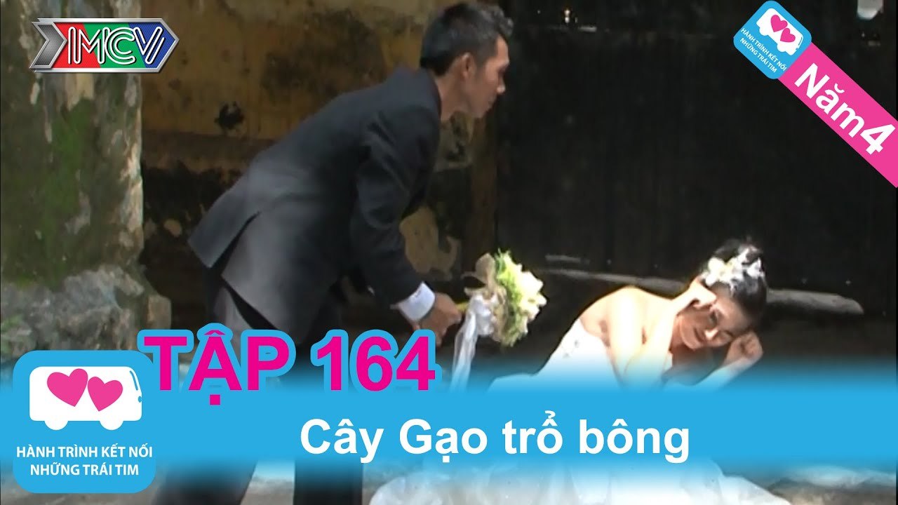 Cây gạo trổ bông | LOVEBUS | Năm 4 | Tập 164 | 170112