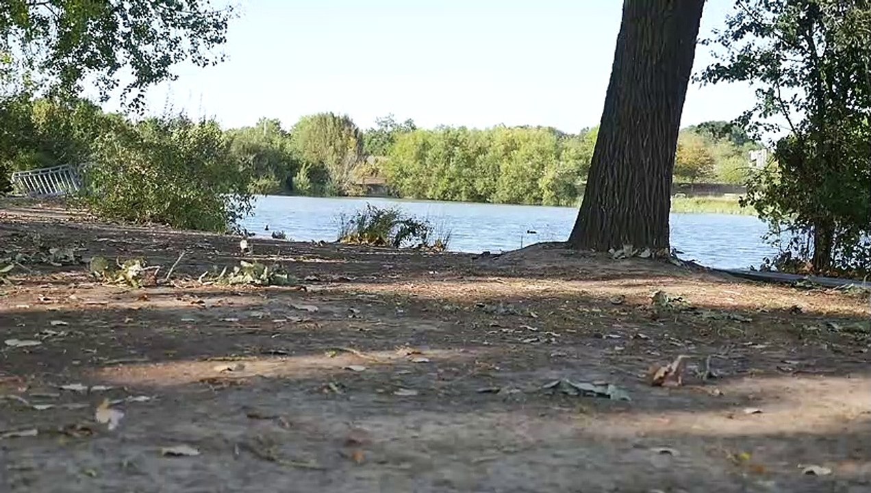 Lake - Nature (Creative Common Video 146)