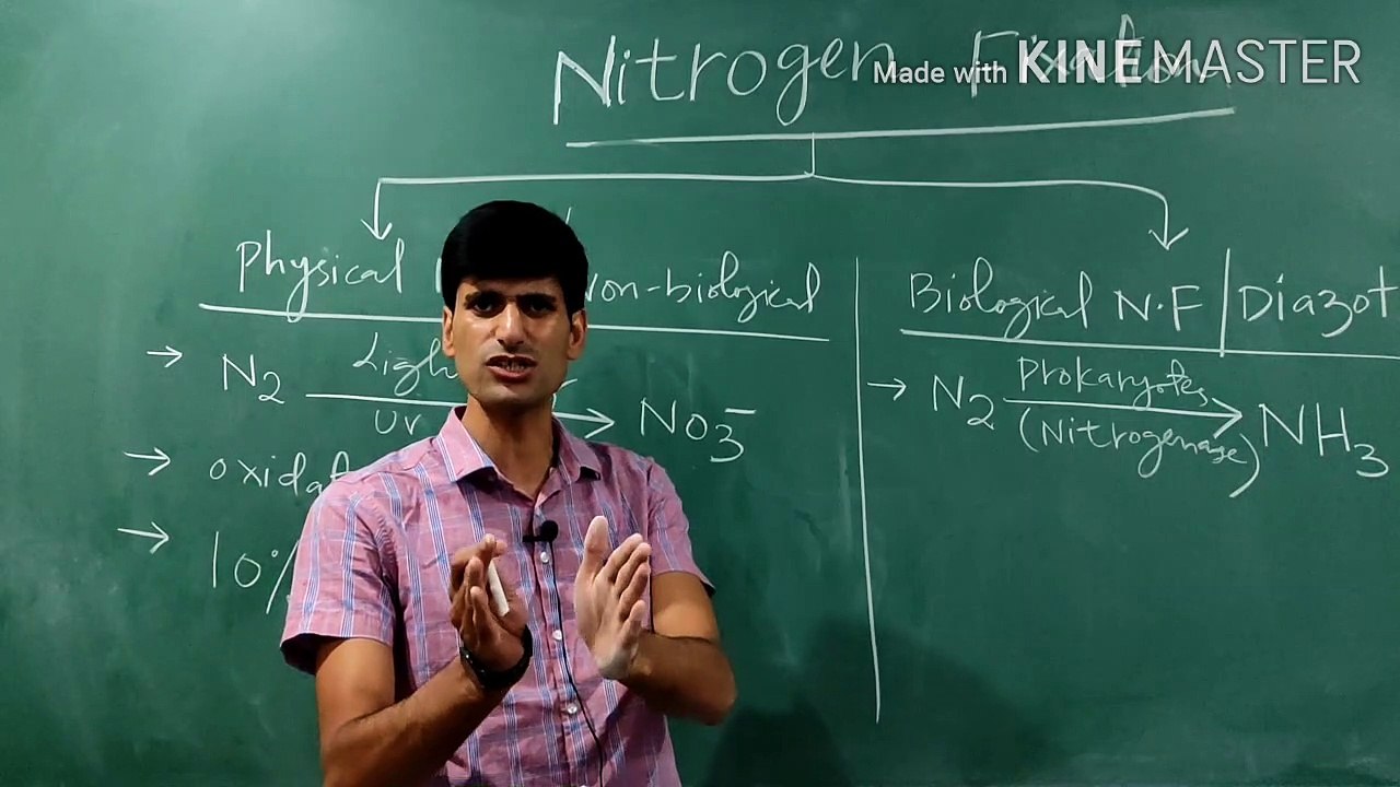 Nitrogen fixation