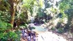 Curtis Falls at Mt Tamborine Gold Coast Hinterland, Australia