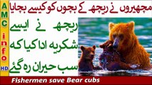 14 Mama Bear Is Forced To Save Herself As fishermen tried To save Her Babies