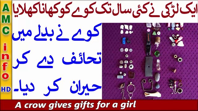 16 A Girl Fed Crows For 10 Years Then The Crows Brought Her Gifts in San Francisco