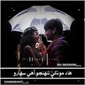Dil Paki Na Kajan - Sindhi WhatsApp Status -